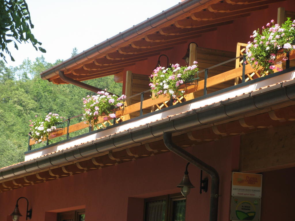 Bosco Romagno Villa Cividale del Friuli Szoba fotó